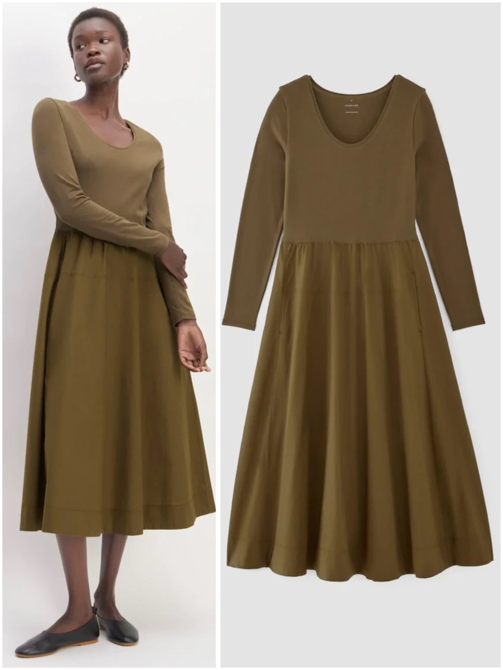 Everlane Long-Sleeve Riviera Dress Medium Beech Olive Supima Cotton Midi NWT